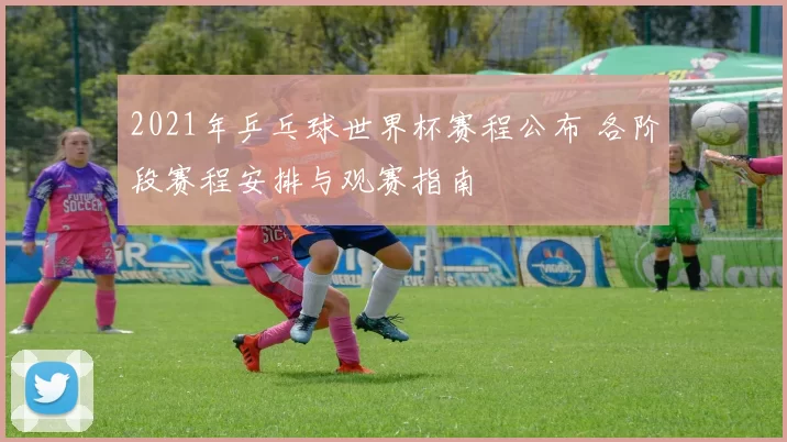 2021年乒乓球世界杯赛程公布 各阶段赛程安排与观赛指南