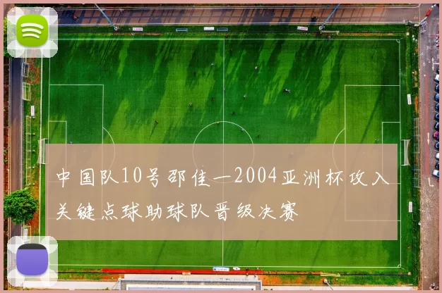 中国队10号邵佳一2004亚洲杯攻入关键点球助球队晋级决赛